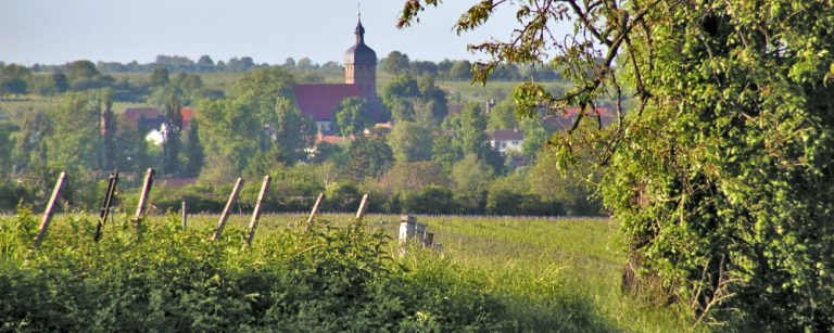 Rundwanderwege BilligheimIngenheim Naturschutzverband Südpfalz (NVS)